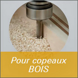 Aspirateur pour copeaux bois et poussières